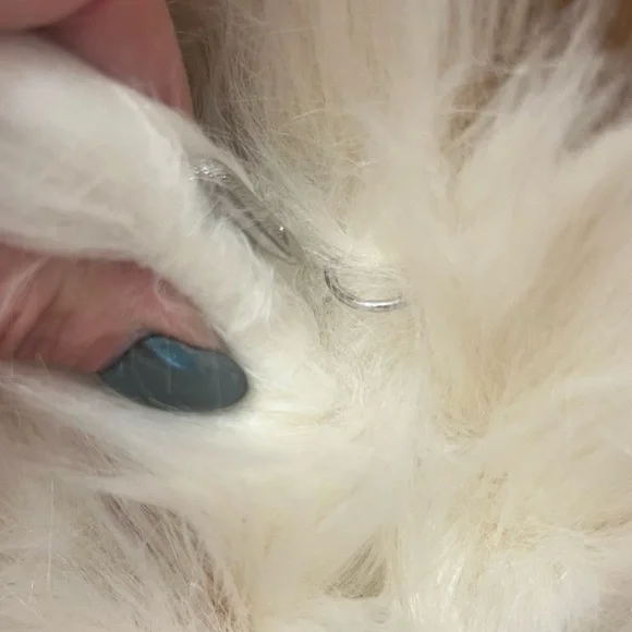 Azalea Wang size small Gorgeous Faux Fur Coat - Picture 7 of 11